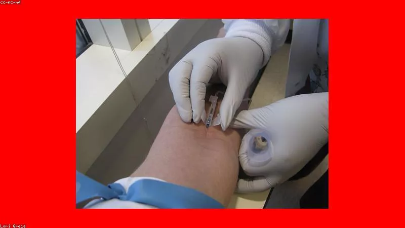 Phân tích y khoa hình ảnh Cao đẳng cộng đồng vs Đại học 4 năm tại Mỹ: Nên chọn gì?